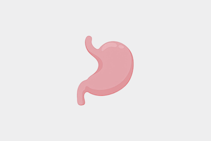 Gastroenterology & Nephrology